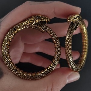 Snake Hoop Earweights